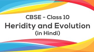 Heredity amp Evolution Hindi  Class 10 X Science CBSE [upl. by Brower]