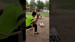 wicket keeping drillhow to use cricket bat for wicket keeping drills [upl. by Aracat379]