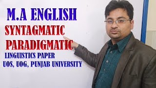 SYNTAGMATIC AND PARADIGMATIC IN URDU HINDI [upl. by Temirf269]