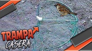 ☑️TRAMPA de RED para AVES AUTOMATICA Y CASERA 1 [upl. by Erdnassak]