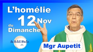 Évangile et homélie du Dimanche 12 Novembre  Avec Mgr Aupetit [upl. by Wertheimer]