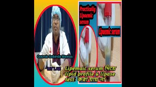 Lipemic blood sample Lipemic serum test in Bangla [upl. by Lavinie]