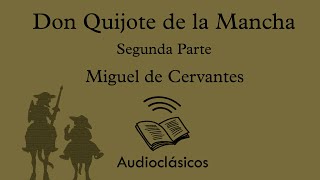 Capítulo 22 Audiolibro Don quijote de la mancha De la libertad que dio don Quijote a muchos [upl. by Scuram941]