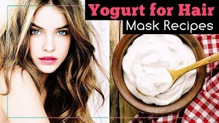 Yogurt for Hair Benefits and Mask Recipes [upl. by Ahsielat828]