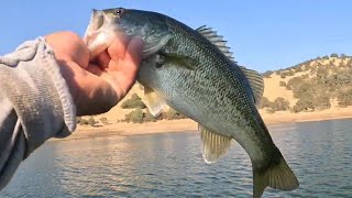 TREMENDA PESCA DE BASS Y STRIPER EN NEW HOGAN LAKE FISHING [upl. by Doris246]