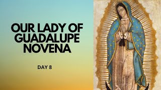 Day 8  Our Lady of Guadalupe Novena  Catholic Novena [upl. by Atteynek]