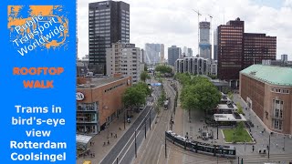 Rotterdam  Streetcars in Birdseye view  ROOFTOP WALK Coolsingel [upl. by Odo691]