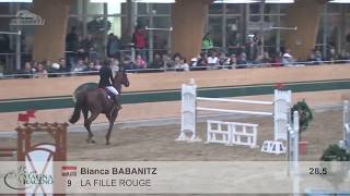 LA FILLE ROUGE v CouleurRubinQuattro B  Frank Stronach Indoor Derby 2017 [upl. by Cence]