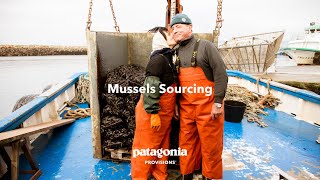 Mussels Sourcing  Patagonia Provisions [upl. by Domella]