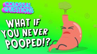 What Would Happen If You Never Pooped  COLOSSAL QUESTIONS [upl. by Annaoi]