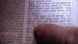 Genesis 10 Holy Bible King James [upl. by Anenahs156]