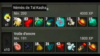 DOFUS Almanax rentable  15 économie à brakmar [upl. by Garik501]