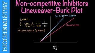 Noncompetitive Inhibitors LineweaverBurk Plot Part 3  Biochemistry [upl. by Adnahs829]