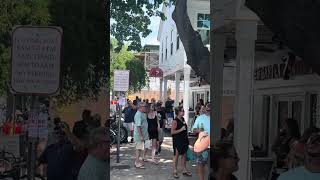 Lobsterfest 2024  Duval Street in Key West keywest lobsterfest [upl. by Waldos]