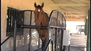 FullStride Horse Treadmill video [upl. by Eiuqram938]