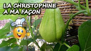 Potager Autonome  La Christophine à ma façon [upl. by Vernice]