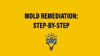 SBP StepbyStep Mold Remediation Guide [upl. by Medor]