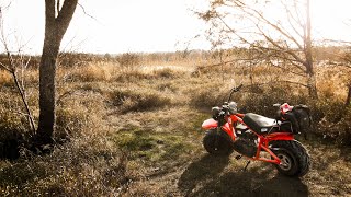 Coleman B200R Minibike First Impressions amp Ride [upl. by Zevahc156]