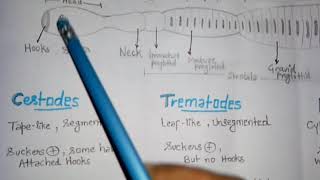 Cestodes trematodes and nematodes। Parasite classification । Definitive and intermediate host [upl. by Ellord]