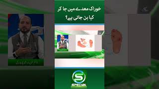 Shocking Truth What Happens to Food in the Stomach  Dr Tanveer Arshad Choudhry [upl. by Naux]