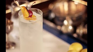 How To Make The Popular Tom Collins Cocktail  Food Lovers [upl. by Adnuahsar]