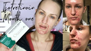 Isotretinoin Diaries  Month 1  Because Acne Sucks [upl. by Ennahgem618]