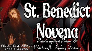 Powerful Novena to St Benedict  Day 3  Patron against Poison amp Witchcraft Kidney Disease etc [upl. by Valdis]