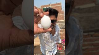 Dhoop me omelette Bana Diya 😱 shorts ￼ [upl. by Nester]