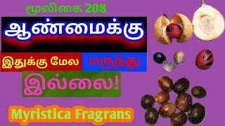 ஜாதிக்காய் மரம்சாதிப்பத்திரிசாதிக்காய்Jathikkainutmegmyristica fragransAlasal [upl. by Llehcar]