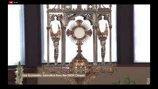 LIVE Eucharistic Adoration on EWTN [upl. by Nanis]