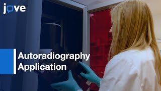 Autoradiography Application [upl. by Annij378]