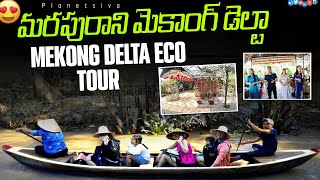 Mekong Delta Adventure I Discovering Vietnams Hidden Gem [upl. by Maher905]