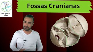 Ossos do crânio fossas cranianas 58 [upl. by Eimorej]