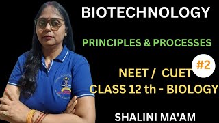 Biotechnology principles amp processes I biotechnology principles amp processes class 12  NEET  CUET [upl. by Olli549]