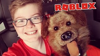 Playing Roblox with Hacker the talking dog [upl. by Jodie984]