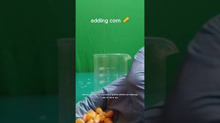 Piranha solution vs corn piranha destroyer exothermic experiment popcorn viralvideo [upl. by Olly]