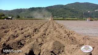 Vineyard Site Prep for Planting Stage One [upl. by Onifur]