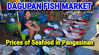 DAGUPAN FISH MARKET  Pangasinan’s Biggest Seafood Market Prices this November 2023  Philippines [upl. by Gordon387]