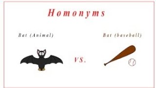 Paronyms and Homonyms  Paronyms and Homonyms tricks easy to learn [upl. by Naimad]