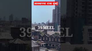 मुंबई में लालबाग का राजा इतना प्रसिद्ध क्यों  lalbaghcharaja mumbaiganpati ganpatibappamorya [upl. by Aicrag]