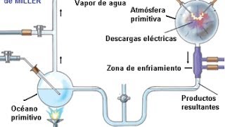 EXPERIMENTO DE MILLER BIOLOGÍA MOLECULAR EA [upl. by Ainwat898]