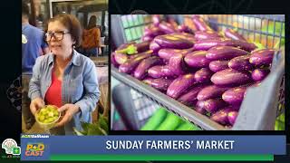 ATIng Kaugnay Podcast Episode 23 Sunday Farmers Market [upl. by Easton503]