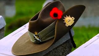 Great ANZAC Day Song And Video For Schools [upl. by Ellehcyt767]