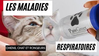 Les maladies respiratoires chez les chiens les chats et les rongeurs [upl. by Akino]