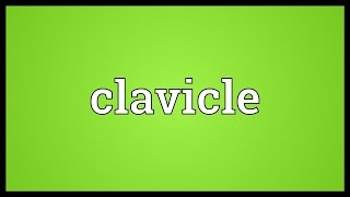 Clavicle Meaning [upl. by Reffineg]