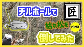 【匠】チルホールで20メートル級の枯れた松を切ってみた【難易度★★★★ 中〜上級】WIRE ROPE WINCH [upl. by Etennaej222]