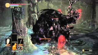 Dark Souls 3  How to get Black Bow of Pharis Best Dex Bow in the game [upl. by Llennahc]