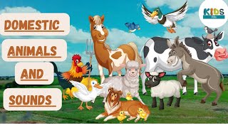 Domestic AnimalsKids Videoeducational video funlearning learning domesticanimals educational [upl. by Alael]