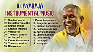 Ilayaraja Instrumental Music amp BGMs  ilayaraja instrumental music collectionFlute Violin veenai [upl. by Melamed]