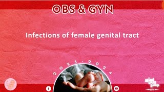 Ch Infection 1 Vulvovaginitis Gynecology [upl. by Ahseuqal]